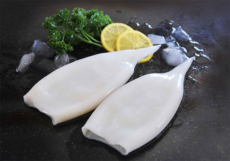 Get a Catalog & Best Price