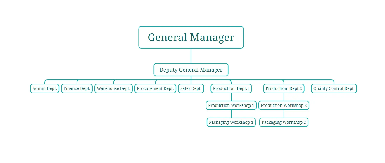 Company Structure
